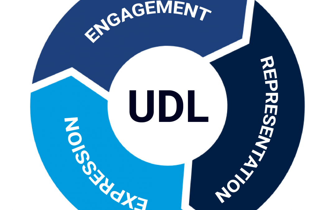 Top 5 Universal Design for Learning Badge