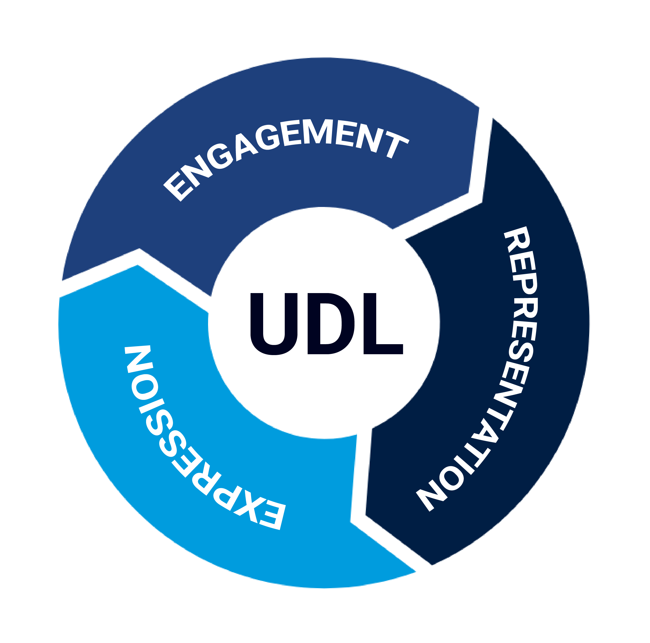 A circular set of arrows with the words Engagement, Representation, and Expression in the arrows. UDL is in the middle of the circle.