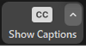Show Captions button