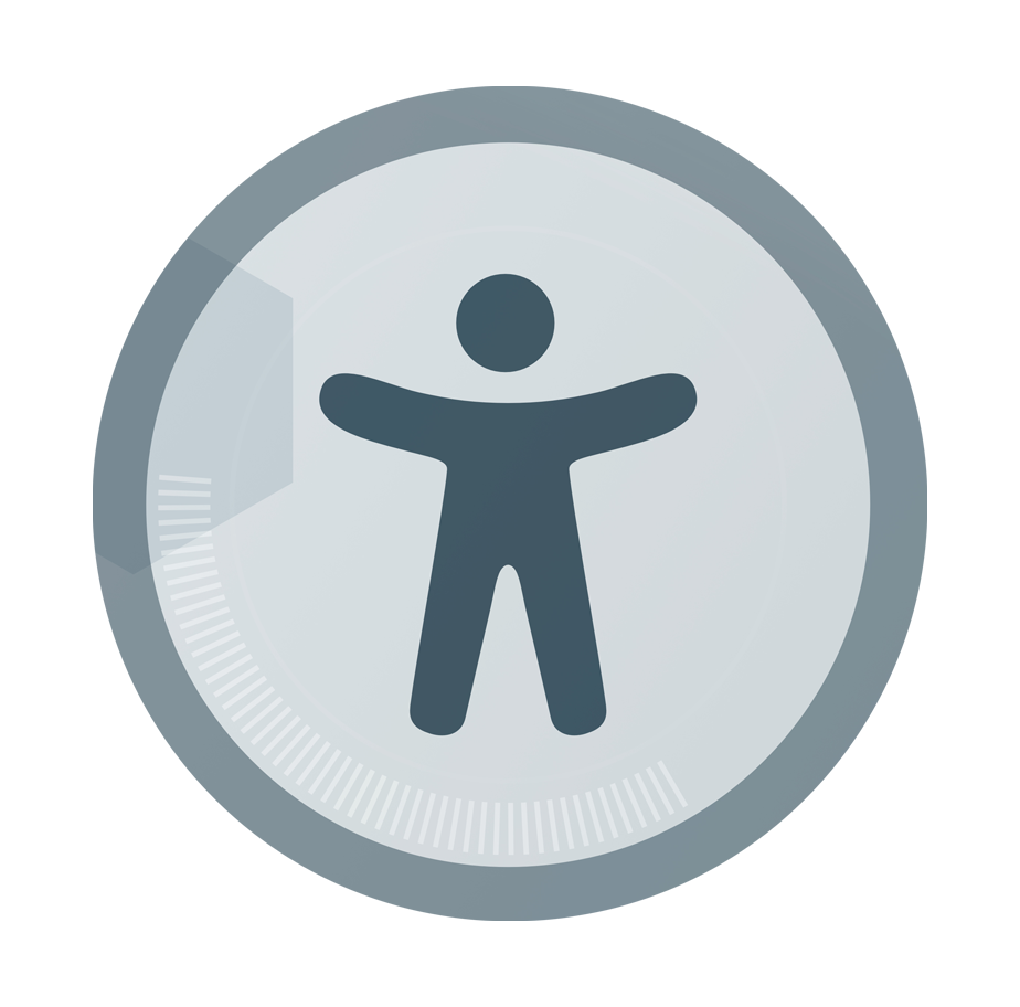 Digital Accessibility Literacy